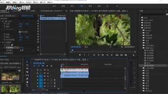 残影爆料视频下载免费,免费下载视频背后的秘密  第2张