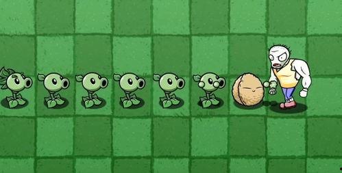 宅宅萝卜pvzbt最新爆料,植物大战僵尸最新动态大揭秘! 第1张 宅宅萝卜pvzbt最新爆料,植物大战僵尸最新动态大揭秘! 第1张