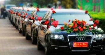 花车owl最新爆料  第1张